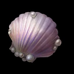 Seaside Shells