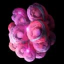 Mutated Red Cyst