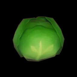Cabbage