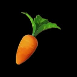 Carrot