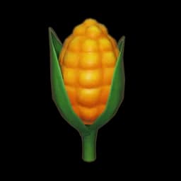 Corn
