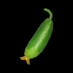 Cucumber