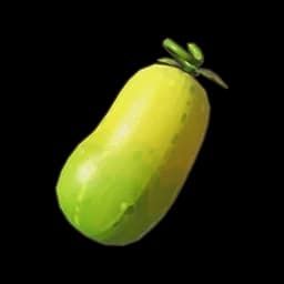 Dreamcrown Cucumber