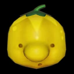 Dreamcrown Melon