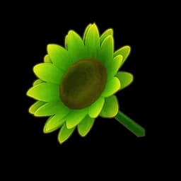 Green Sunflower