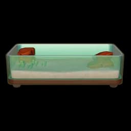 Large Tidepool Aquarium