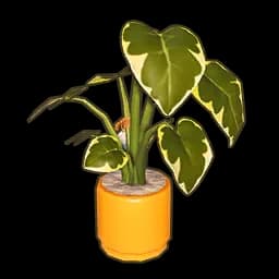 Maizeglow Potted Plant