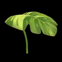 Monstera Umbrella
