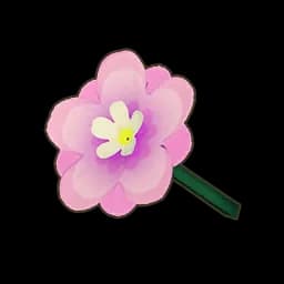 Pink Violet