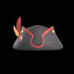 Pirate hat