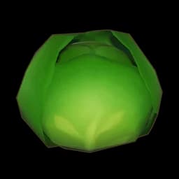 Plump Cabbage