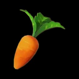 Plump Carrot