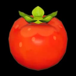 Plump Tomato
