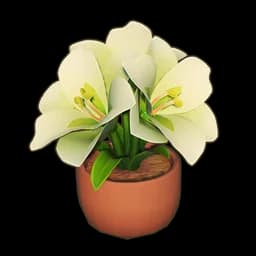 Potted Amaryllis