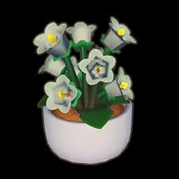 Potted Bellflower