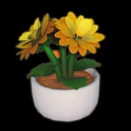 Potted Dahlia