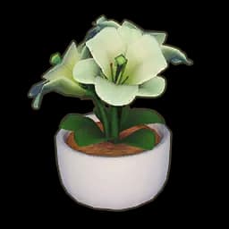 Potted Lily