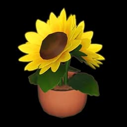 Potted Sunflower