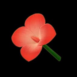 Red Canna