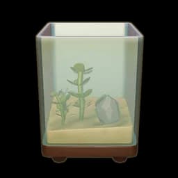 Small Eco Aquarium