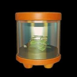 Small Eco Terrarium