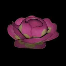 Strange Cabbage