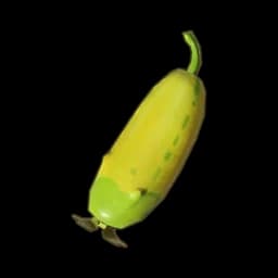 Strange Cucumber
