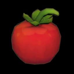 Strange Tomato