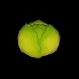 Stunted Cabbage