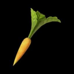 Stunted Carrot