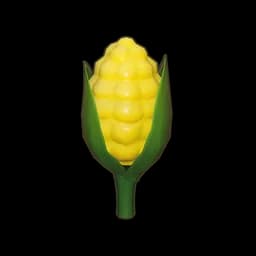 Stunted Corn