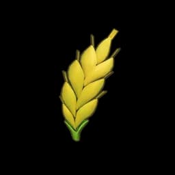 Stunted Wheat