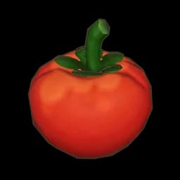 Tomato