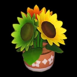 Tricolor Potted Sunflower