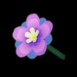 Violet