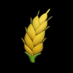 Wheat