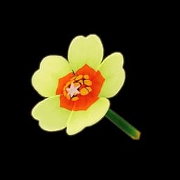 White Moss Rose
