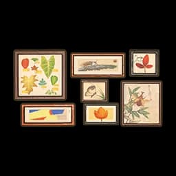 Wildwinds Artwork Set