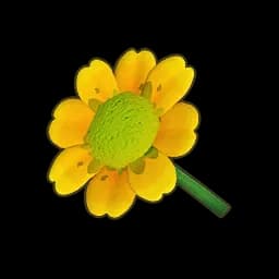 Yellow Daisy