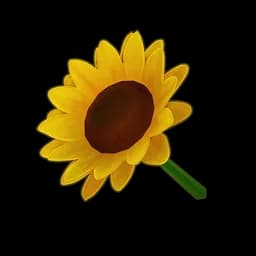 Yellow Sunflower