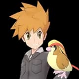 Blue & Pidgeot