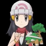 Dawn & Torterra