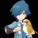 Falkner & Pidgeot