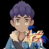 Hop & Zamazenta