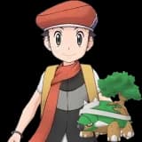 Lucas & Torterra