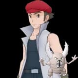 Noland & Pinsir