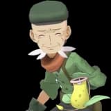 Ramos & Victreebel