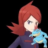 Silver & Feraligatr