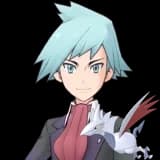 Steven & Skarmory
