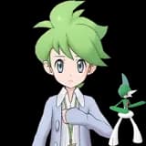Wally & Gallade